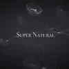 Super Natural - Single album lyrics, reviews, download
