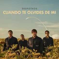 Cuando te olvides de mi - Single by Despistaos album reviews, ratings, credits