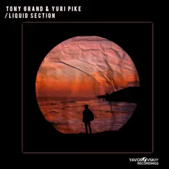 Liquid Section - Single by Tony Grand & YURI PIKE album reviews, ratings, credits