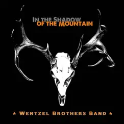 In the Shadow of the Mountain - Single by The Wentzel Brothers Band album reviews, ratings, credits