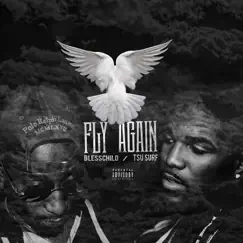 Fly Again (feat. Tsu Surf) - Single by BlessChild album reviews, ratings, credits