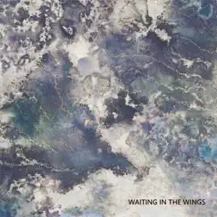 Waiting in the Wings - Single by Alexey Ryabukhin album reviews, ratings, credits