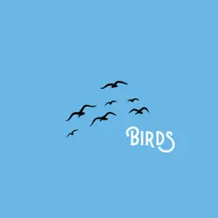Birds - Single by Without Moral Beats album reviews, ratings, credits