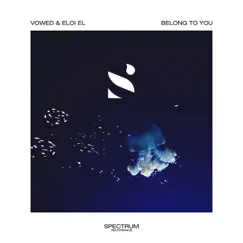 Belong to You - Single by VOWED & Eloi El album reviews, ratings, credits