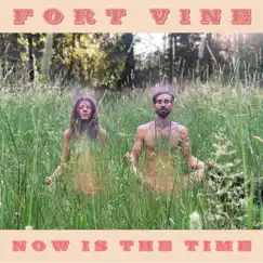 Now Is the Time - Single by Fort Vine album reviews, ratings, credits
