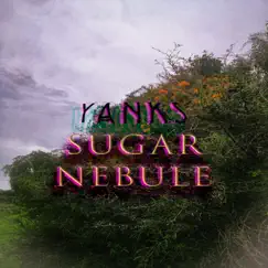 Sugar Nebule Song Lyrics