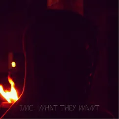 What They Want - Single by JMC album reviews, ratings, credits