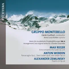 Verein für musikalische Privataufführungen, Vol. 6 by Gruppo Montebello, Henk Guittart & Anna Lucia Richter album reviews, ratings, credits