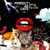 A Forest (Perfect As Cats Version) - Single album lyrics, reviews, download