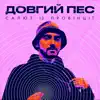 Салют із провінції - Single album lyrics, reviews, download