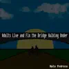 Adults Live and Fix the Bridge Walking Under (Cover) - EP album lyrics, reviews, download