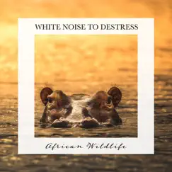 African Wildlife: White Noise to Destress by Carl Brooks album reviews, ratings, credits