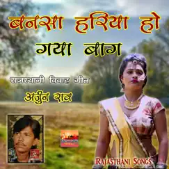 Baga Me Jhula Naval Banna Marwadi Song Song Lyrics