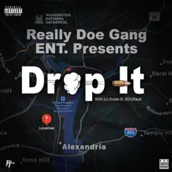 Drop It (feat. 3ohblack) - Single by RDG Lil Snate album reviews, ratings, credits