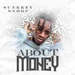 About Money - Single by SunkkeySnoop album reviews, ratings, credits