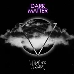 Dark Matter - Single by Wiltingflower album reviews, ratings, credits