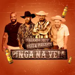 Pinga na Veia - Single by Pagando Mico & Davi e Fernando album reviews, ratings, credits