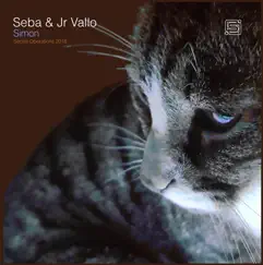 Simon - Single by Seba & Jr Vallo album reviews, ratings, credits