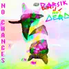 No Chances - Single album lyrics, reviews, download