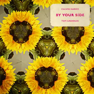 By Your Side (feat. Tom Grennan) - Single by Calvin Harris album download
