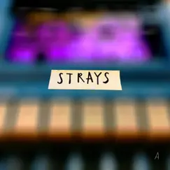Strays (A) - EP by Sonaura album reviews, ratings, credits