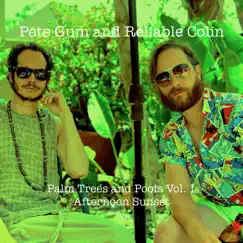 Palm Trees and Pools Vol. 1 Afternoon Sunset - EP by Pete Gum and Reliable Colin album reviews, ratings, credits
