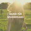 Musik für Spaziergang - Musik zum Wandern, Wander-Playlist album lyrics, reviews, download