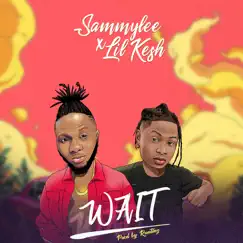 Wait (feat. Lil Kesh) - Single by Sammy Lee album reviews, ratings, credits