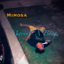 Mimosa - Single by Boogz & D.Marin0 album reviews, ratings, credits