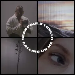 Calling On Me - Single by Sean Paul & Tove Lo album reviews, ratings, credits