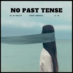 No Past Tense (feat. Fred Owusu & C.N) - Single by DJ Breezy album reviews, ratings, credits
