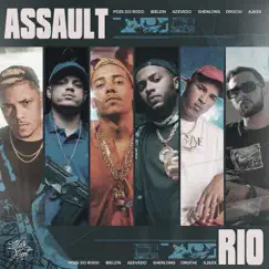 Assault (Rio) - Single by Various Artists album reviews, ratings, credits