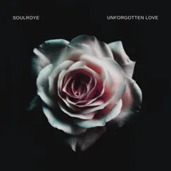 Unforgotten Love (feat. Hannah Jane) Song Lyrics