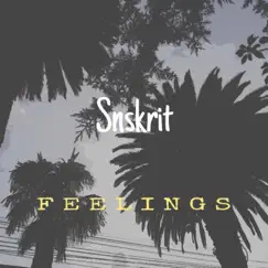 F E E L I N G S - Single by Snskrit album reviews, ratings, credits