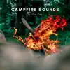 Campfire Sounds In the Day album lyrics, reviews, download