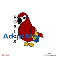 Roblox (Adopt Me) [feat. DJ Nstrumental] Song Lyrics