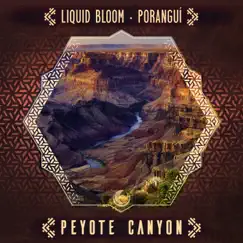 Peyote Canyon Song Lyrics