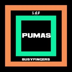 Pumas - Single by BusyFingers album reviews, ratings, credits