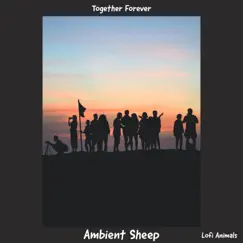 Together Forever - Single by Ambient Sheep & Lofi Animals album reviews, ratings, credits