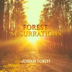 Forest Susurrations - Pebbles on the Beach - Piano and Birds Singing - Rain Sounds HD - Surf Beach Campfire by Joshua Forest album reviews, ratings, credits