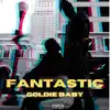 Fantastic - Single album lyrics, reviews, download