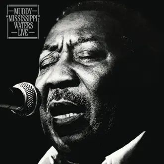 Download Deep Down In Florida (Live) Muddy Waters MP3