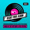Secret Vinyl Album, Vol. 2 (DJ MIX) album lyrics, reviews, download