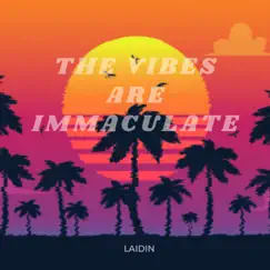 The Vibes Are Immaculate by Laidin album reviews, ratings, credits