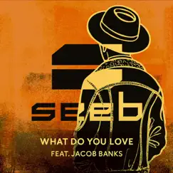 What Do You Love (feat. Jacob Banks) - Single by Seeb album reviews, ratings, credits