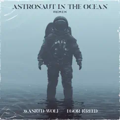 Astronaut in the Ocean (Remix) [feat. Egor Kreed] Song Lyrics