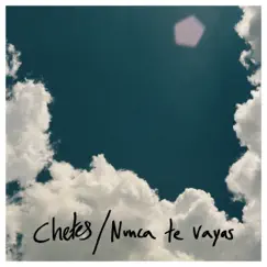 Nunca Te Vayas - Single by Chetes album reviews, ratings, credits