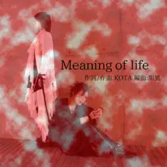 Meaning of Life - Single by KOTA album reviews, ratings, credits