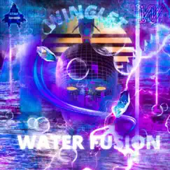 Water Fusion - Single by Winglet album reviews, ratings, credits