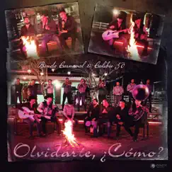 Olvidarte, ¿Cómo? (En Vivo) - Single by Banda Carnaval & Calibre 50 album reviews, ratings, credits